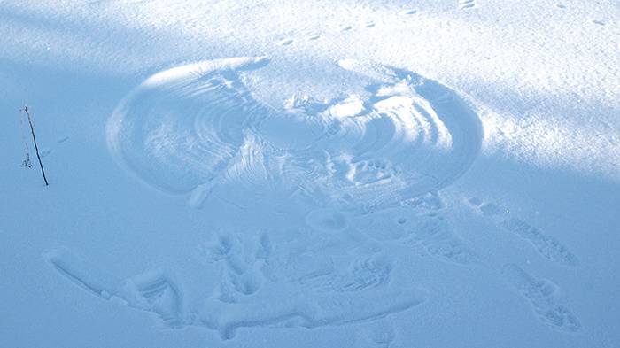 Severák: Schneeengel made by Inge