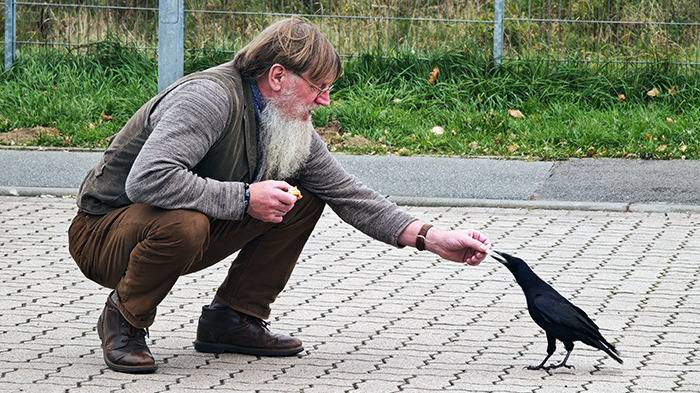 Helge füttert den Vogel mit der Hand
